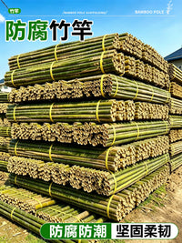 Durable Anti-Corrosion Bamboo Poles for Garden Trellis, Flagpoles, Cucumber and Bean Climbing Vines, and Fences
