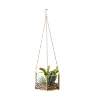 Geometric Glass Terrarium Hanging Planter for Succulents Air Plants, Copper Edged Dustproof Display Case Ornament