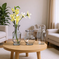European Style Light Luxury Glass Vase Set for Hydroponic Plants and Fresh Flowers