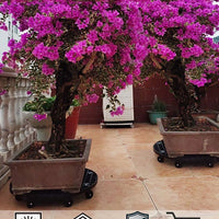 Heavy-Duty Outdoor Planter Caddy with Universal Wheels, Thickened Resin Rolling Plant Stand Base