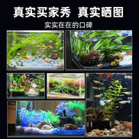 Bent Glass Aquarium Fish Tank for Betta Goldfish Desktop Living Room