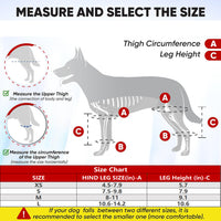 Pet Dog Rear Leg Brace with Collar for Joint Support and Injury Recovery