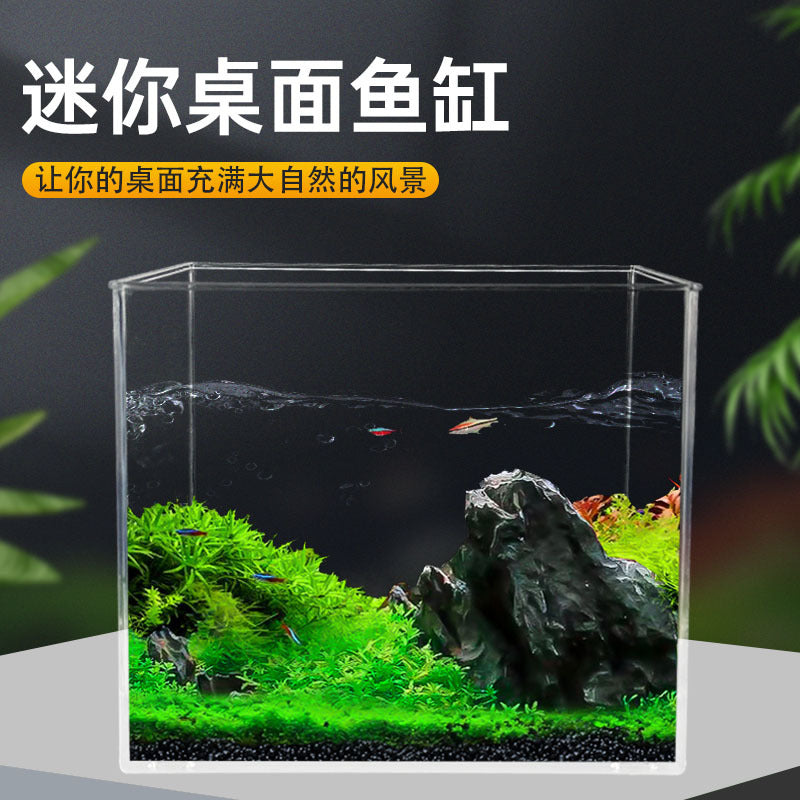 Mini Desktop Aquarium Tank with Ecosystem for Betta Fish and Aquatic Plants