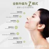 7-in-1 EMS Microcurrent Facial Massager with Ion and Photon Therapy for Skin Rejuvenation