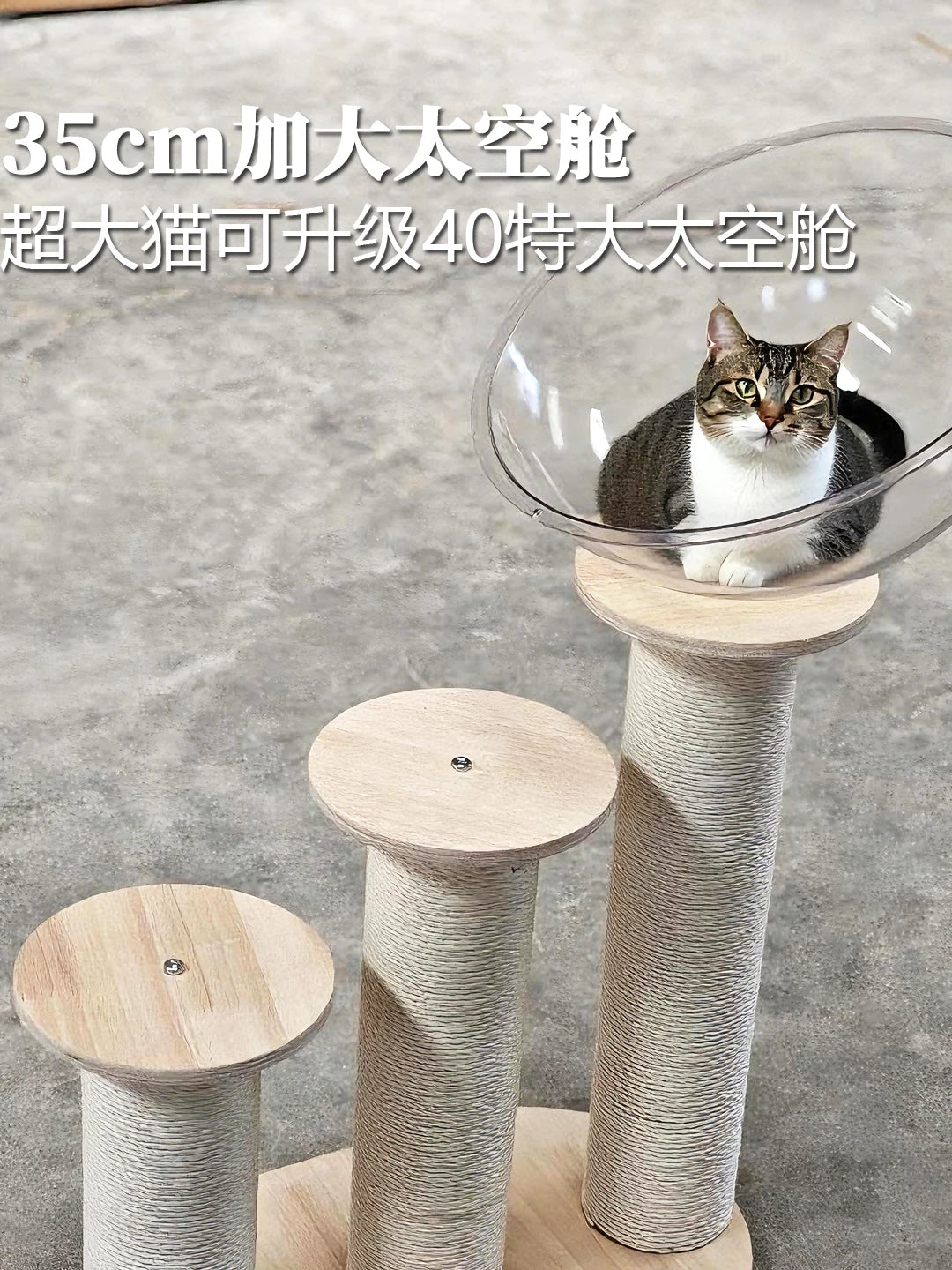 Solid Wood Cat Climbing Frame with Ladder, Space Capsule Cat Bed, and Scratching Post for Kittens and Senior Cats