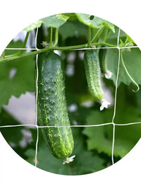 Plant Trellis Netting for Climbing Vines, Fruits, and Vegetables - Garden Support Mesh for Cucumbers, Gourds, Roses