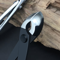 Maxwan Professional Bonsai Concave and Knob Cutter Stainless Steel