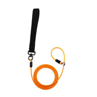 Dog Training P-Leash with Anti-Pull Feature for Small to Large Dogs, Steel Wire Pet Leash