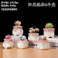 Ceramic Succulent Planter with Ice Crack Glaze - Minimalist White Base for Small Green Plants