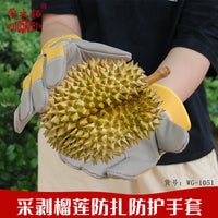 Thickened Puncture-Resistant Gardening Gloves for Fruit Handling and Chestnut Picking