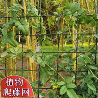 Garden Greenery Trellis Netting for Climbing Plants and Roadside Greening