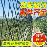 Cucumber Trellis Bean Pole Vegetable Support Tomato Cage Garden Arch Frame for Climbing Plants