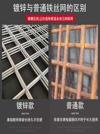 Galvanized Welded Wire Mesh for Pigeon Lofts and Fencing, Long Hole Breeding Net