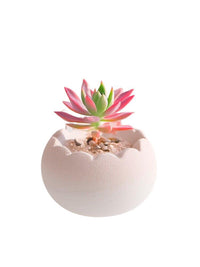 Mini Ceramic Succulent Planter with Wavy Rim, Handmade Desktop Decorative Flower Pot