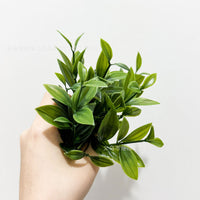 Artificial 5-Layer Willow Leaf Plant for Micro Landscape & Pot Decoration