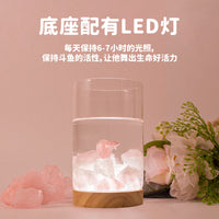 Crystal Stone Betta Fish Tank with Night Light, Small Desktop Micro-Landscape Aquarium