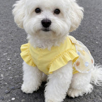 Lightweight Pet Bubble Dress for Small Dogs and Cats, Summer Home Wear