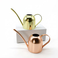 Stainless Steel Mini Watering Can for Indoor Plants, Long Spout, 500ml
