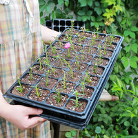 Thickened Deepened Seedling Trays for Forestry, Grass, Succulents, Vegetables, Fruits - Plastic Nursery Planter