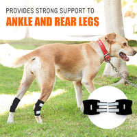 Reflective Dog Knee Brace Leg Joint Protector for Large Dogs