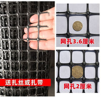 Heavy-Duty Plastic Poultry Fencing Mesh for Gardens and Farms