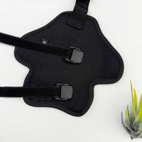 Pet Dog Rear Leg Brace for Joint Protection and Recovery