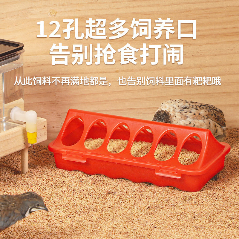 Automatic Quail Feeder and Waterer Set for Chicks and Young Poultry