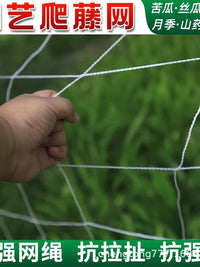 Plant Trellis Netting for Climbing Vines, Fruits, and Vegetables - Garden Support Mesh for Cucumbers, Gourds, Roses