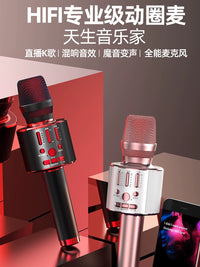 Wireless Bluetooth Karaoke Microphone with Built-in Sound Card for TV KTV Home Use