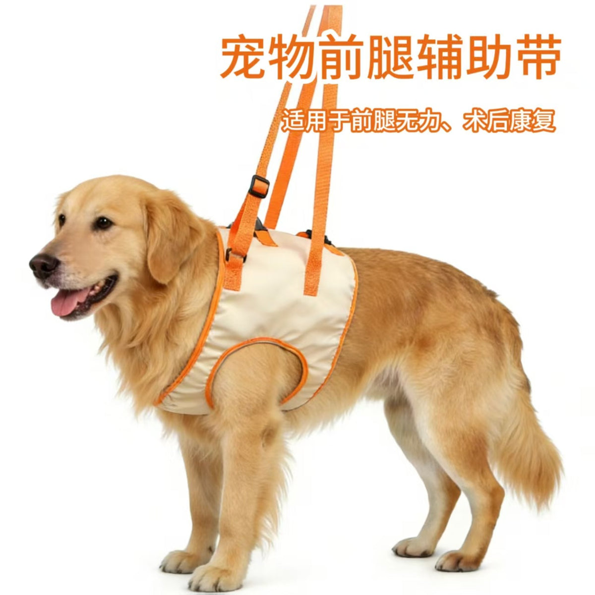 Pet Front Leg Support Harness for Elderly and Post-Surgery Recovery