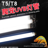 T5 UVB Reptile Light for Tortoises, Lizards, and Succulents, 8W-24W