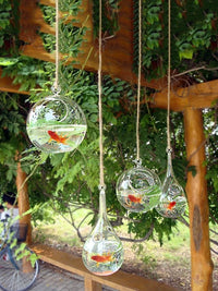 Hanging Thickened Transparent Glass Mini Fish Tank with Stand, Creative Round Hydroponic Plant Ornament