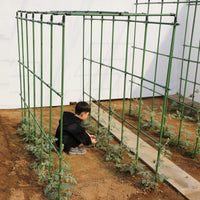 Outdoor Garden Trellis for Climbing Plants, Vegetables, and Fruits - Heavy Duty Galvanized Steel