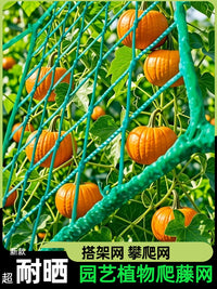 Garden Trellis Netting for Climbing Plants, Grapes, Passion Fruit - Durable, Sun-Resistant, Anti-Collapse Support Net for Agricultural Vegetables