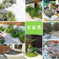 40lb White Pebble Stones for Landscaping and Garden Decoration