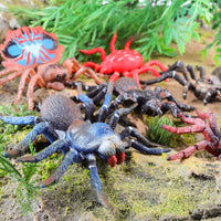 Realistic Spider and Insect Animal Models for Kids - TPR Material Stress Relief Toys