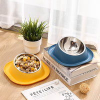 Tilted Stainless Steel Pet Bowl for Healthy Eating and Drinking, Easy to Clean