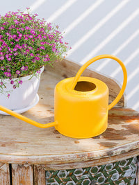 Large Capacity Metal Watering Can with Long Spout for Garden and Indoor Plants