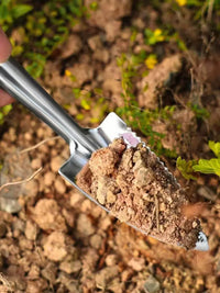 Mini Stainless Steel Garden Trowel for Potted Plants and Gardening