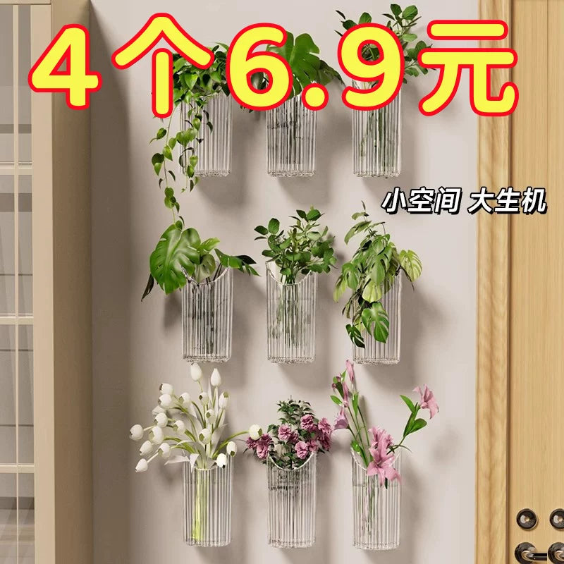 Wall-Mounted Hydroponic Planter for Indoor Plants - Clear Acrylic Decor