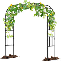 Metal Garden Arch Trellis for Climbing Plants, Roses, and Wedding Decorations