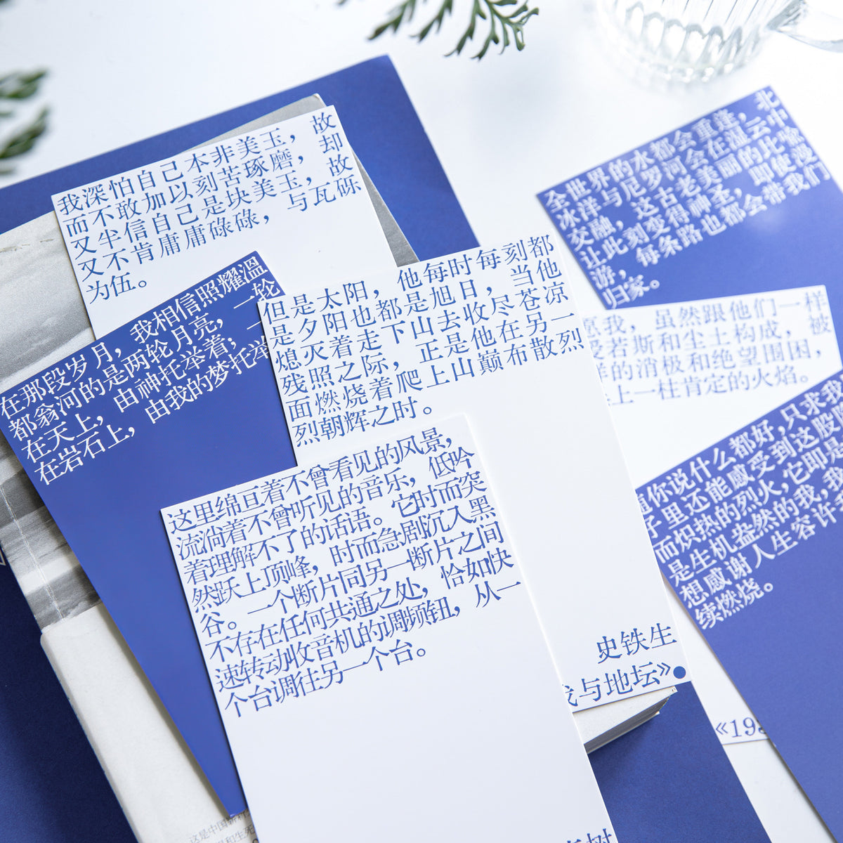 Momo Boxed Postcards - The Power of Words, Minimalist Literary Message Cards, Desktop Decor