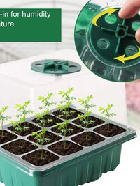 Tall Thick Seedling Starter Tray with Dome Lid and Base for Cuttings and Succulents