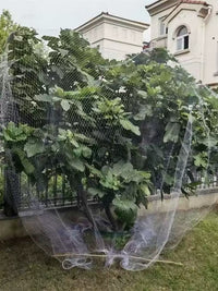 Orchard Bird Netting for Fruit Trees and Vegetables - Durable Nylon Protective Mesh