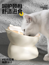 Ceramic Elevated Cat Bowl with Tilted Design for Food and Water, Anti-Vomit Pet Feeder