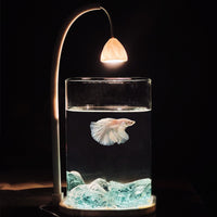 Desktop Mini Aquarium with LED Light for Betta Fish and Small Ornamentals