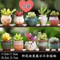 Ceramic Succulent Planter Pot Set with Breathable Drainage, Vintage Style Mini Flower Pots for Indoor Plants