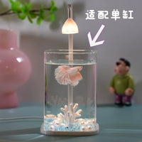 High Transparency Glass Mini Fish Tank with Rounded Corners for Betta Fish and Micro-Landscape