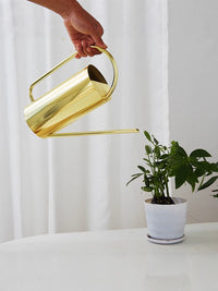 Stainless Steel Long Spout Watering Can for Indoor Plants, Succulents, and Kids - Mini 300ml to 1000ml