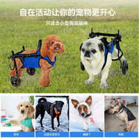Pet Dog Wheelchair for Rehabilitation and Walking Assistance - Adjustable Mobility Cart for Disabled Dogs
